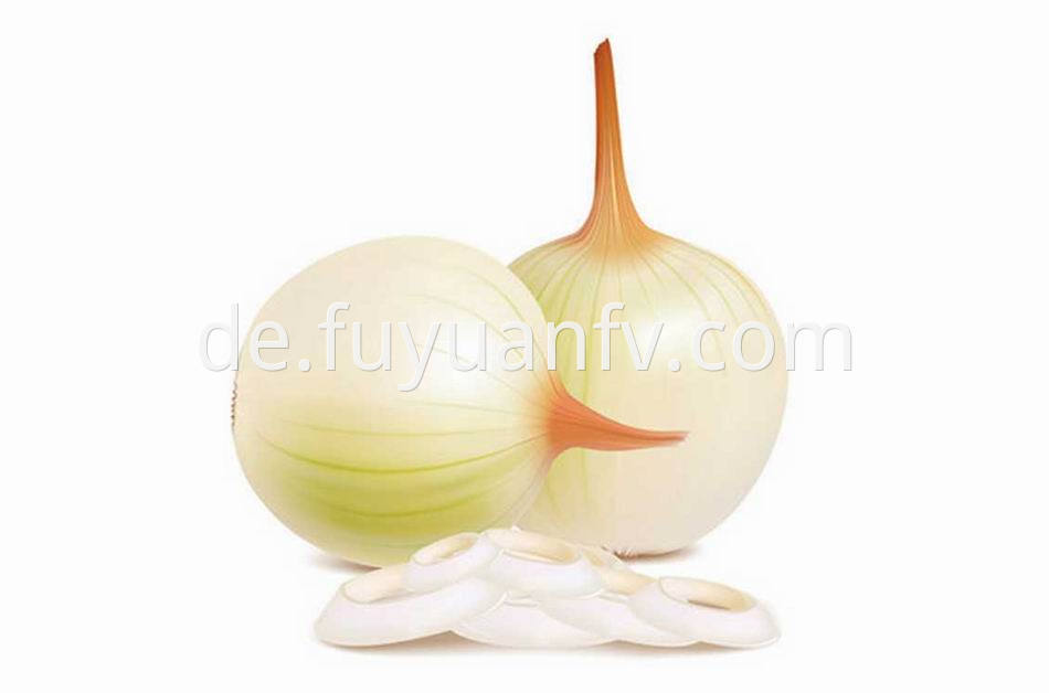 Yellow Onion 21